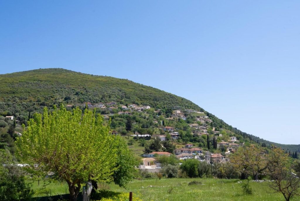 Surroundings